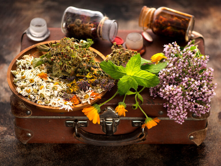 Natural Detoxification: Supporting Your Body’s Cleansing Systems After 40